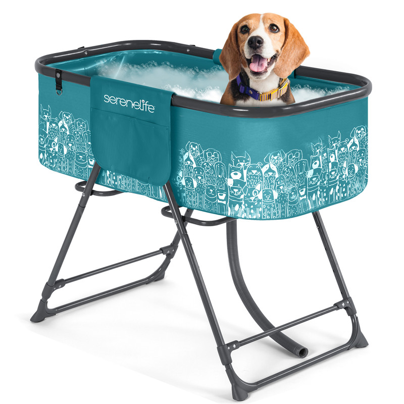 Ein Beagle sitzt in einer teal-farbenen Hundewaschwanne mit weißem Hundemuster. Er trägt ein lila Halsband.