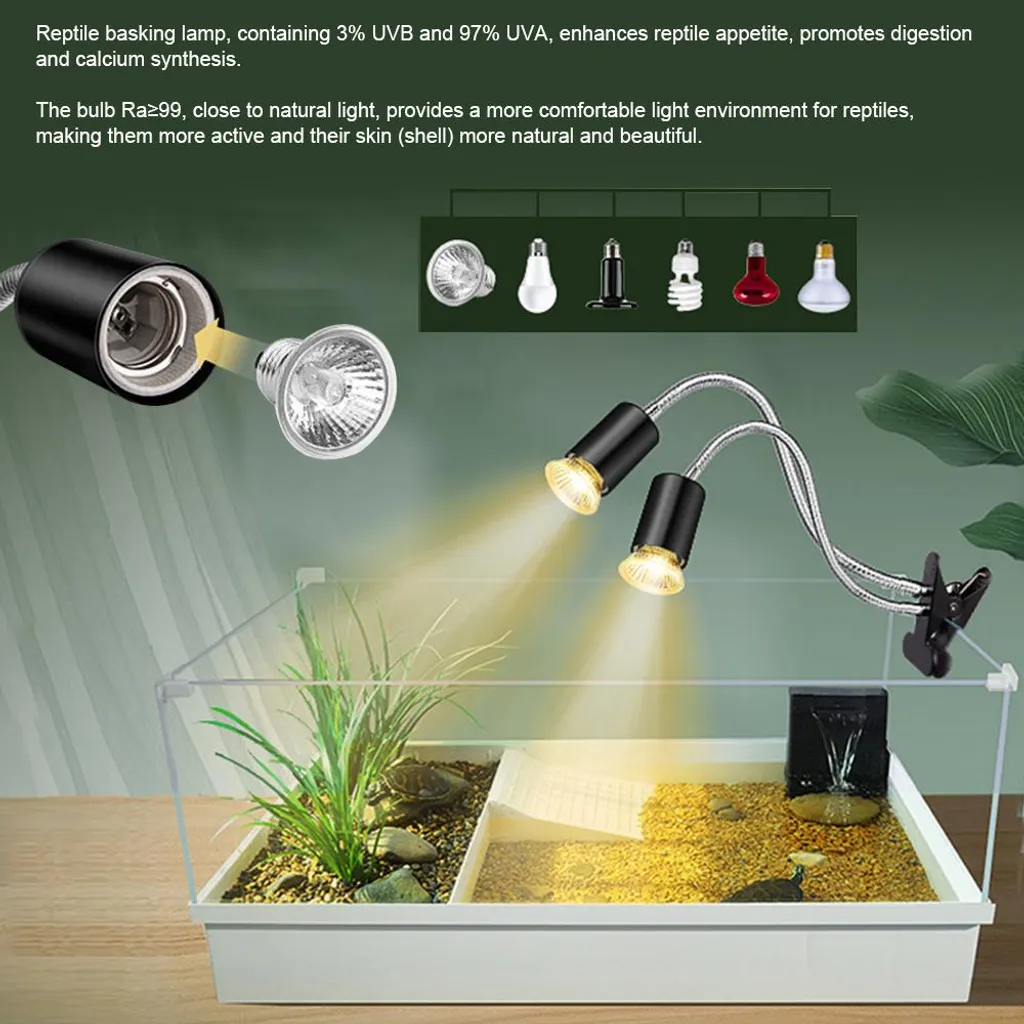 Reptilien-Wärmelampe beleuchtet ein Terrarium mit Pflanzen, Steinen und Sand.