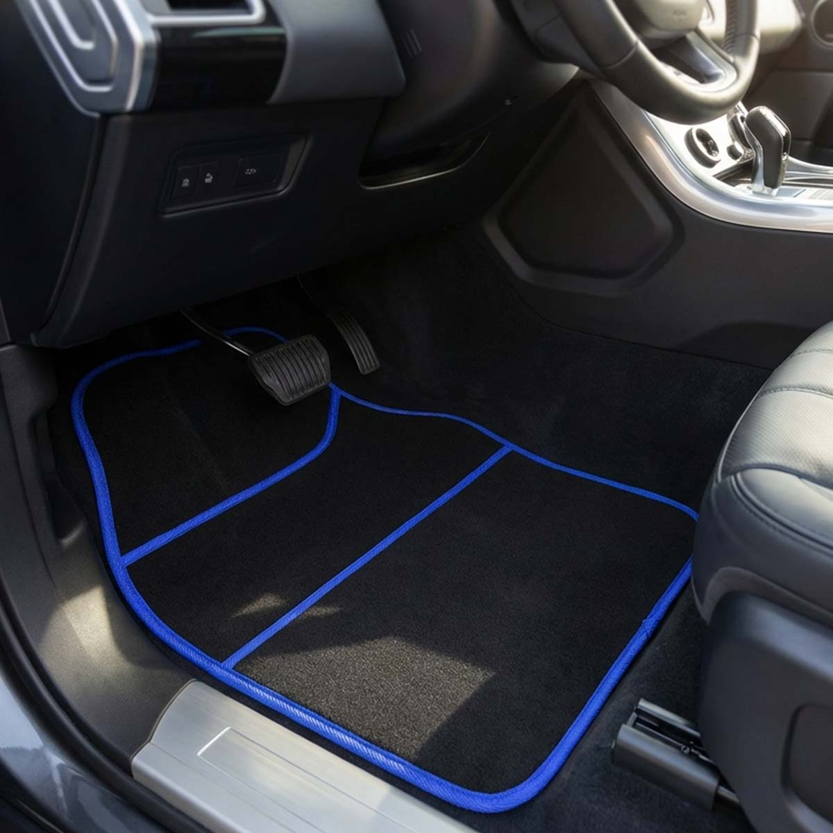 Schwarzfußmatte mit blauer Umrandung im Auto.