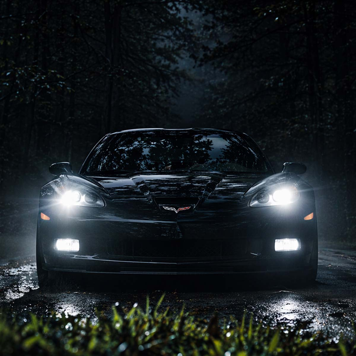 Schwarzer Corvette mit Scheinwerfern an, im dunklen Wald auf nasser Straße.