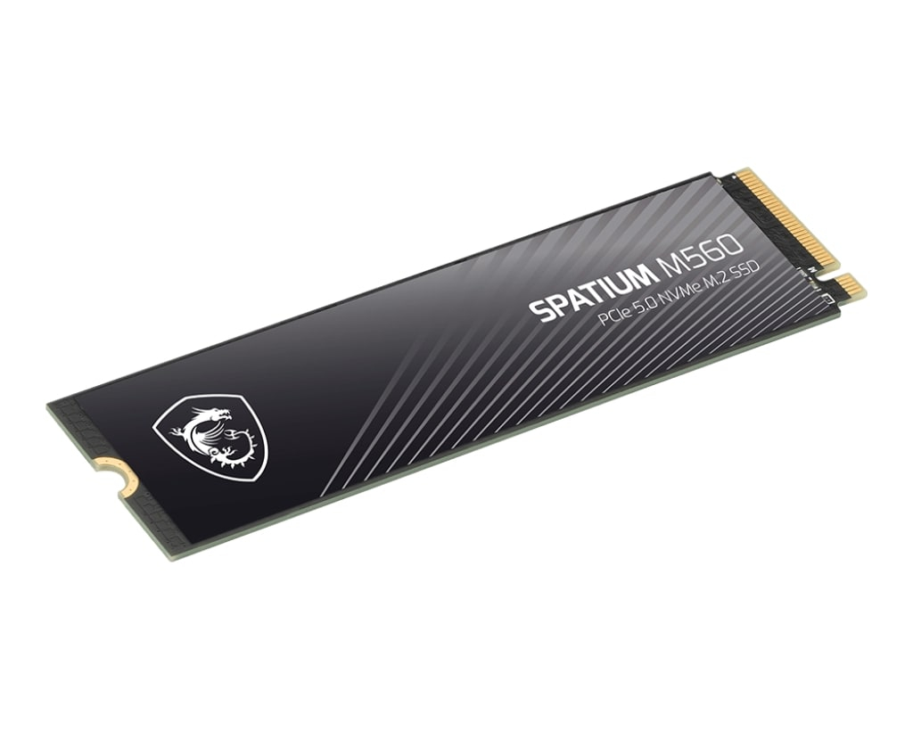 Ein schwarzer M.2 NVMe SSD mit silbernem Schriftzug und einem Drachenlogo.