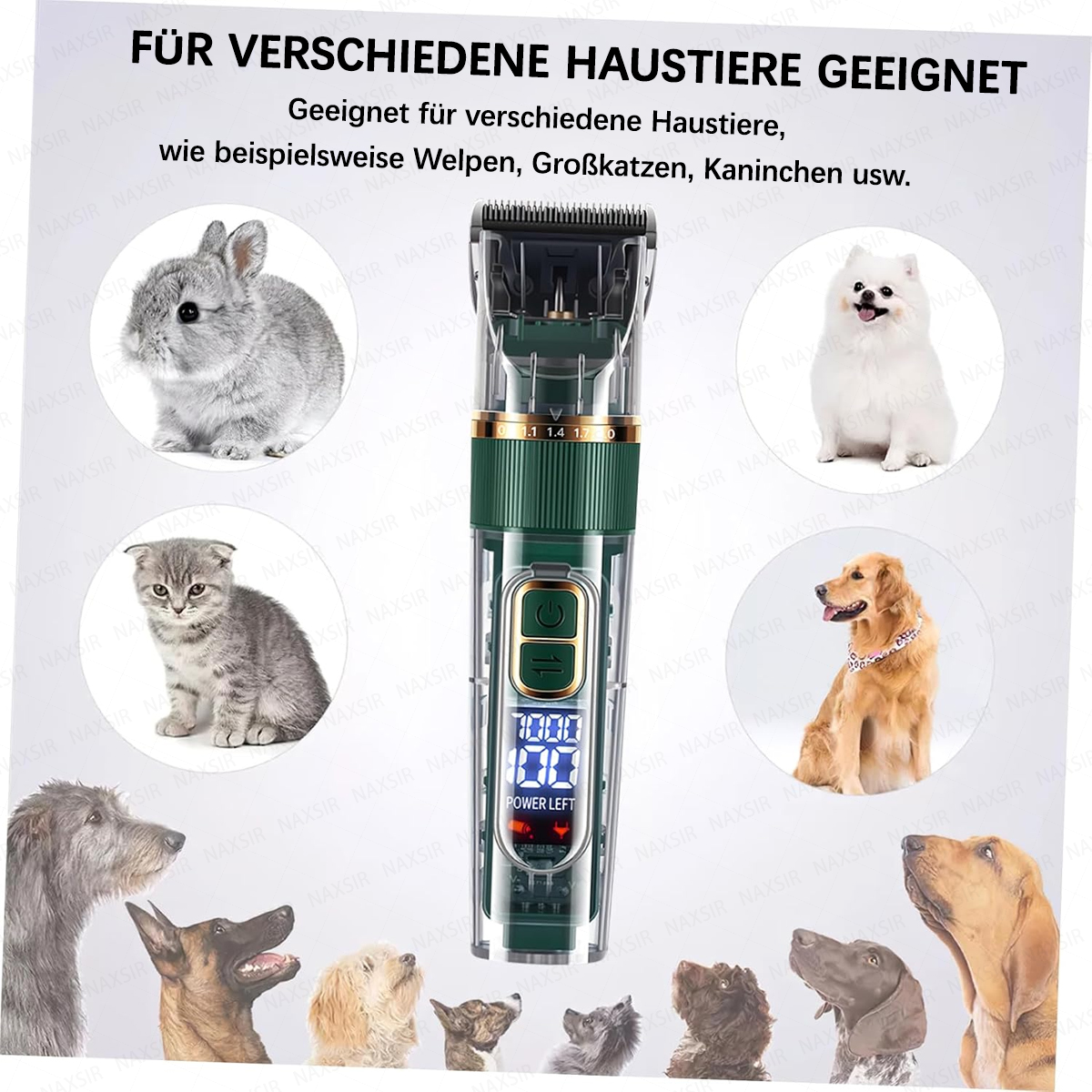 Ein Haarschneider mit verschiedenen Haustieren: Katze, Hase, Hund, Pomeranian, Golden Retriever.
