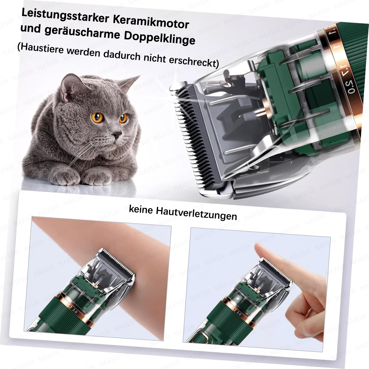 Ein britischer Kurzhaarkater sitzt neben einem Detail eines Haarschneiders.