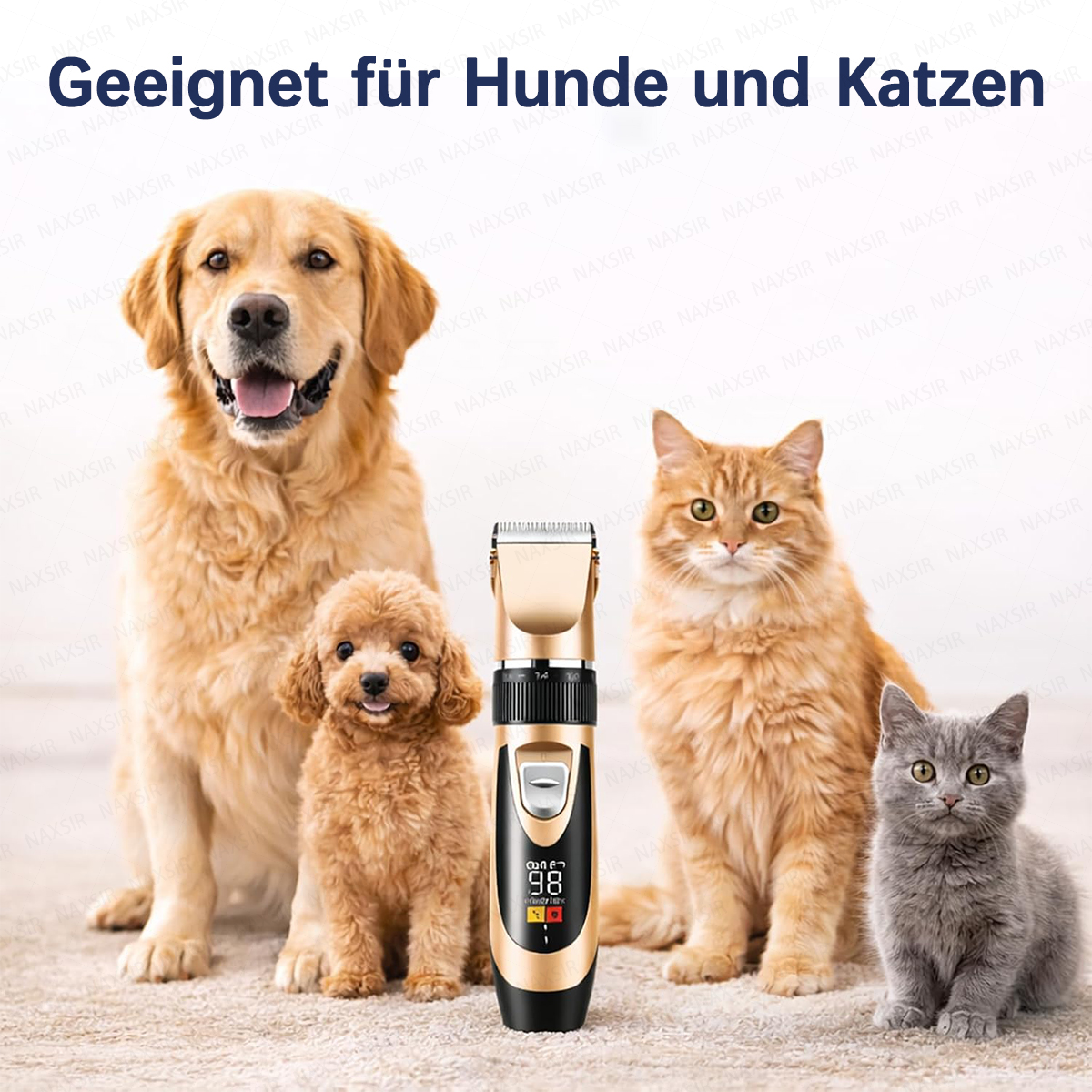 Ein goldener Retriever, Pudel, orangefarbene Katze und graue Katze sitzen neben einem Trimmer.