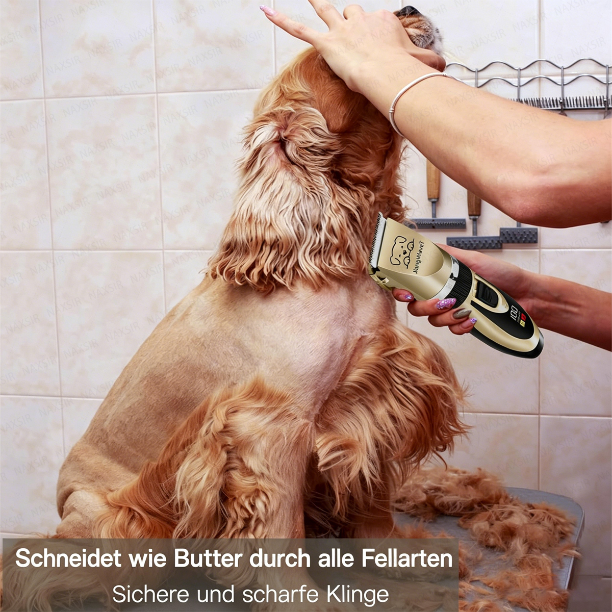 Ein Hund wird von einer Person mit einer goldenen Schermaschine getrimmt.