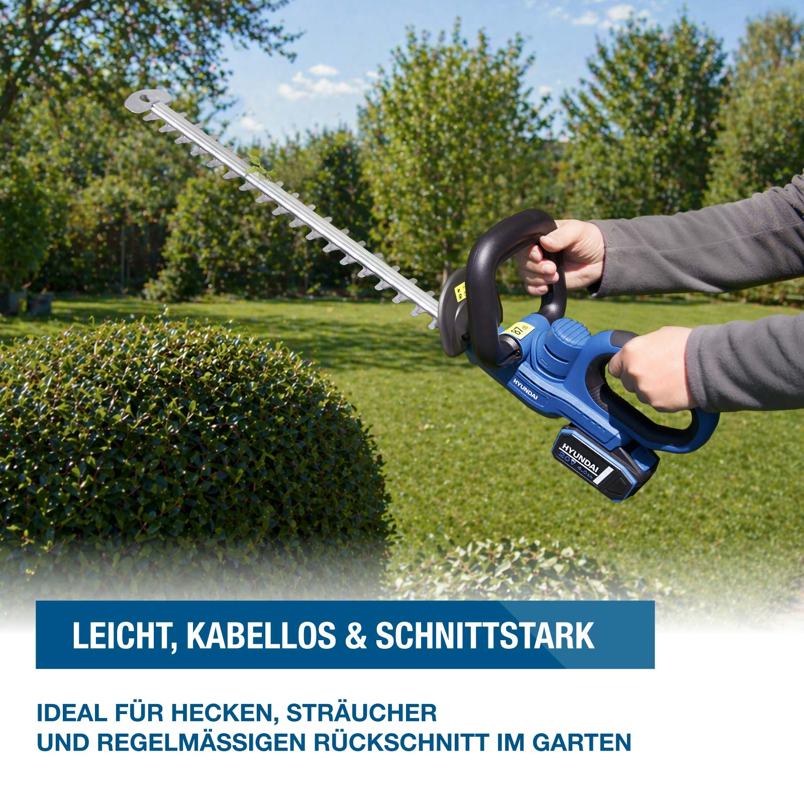 Eine blaue Akku-Heckenschere wird für den Schnitt einer grünen Hecke verwendet.