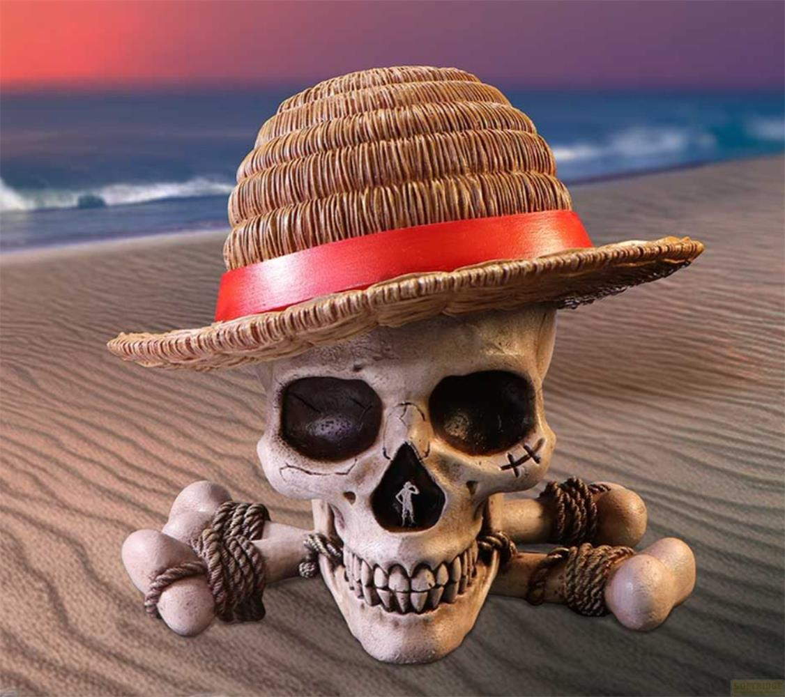 Calavera con sombrero de paja y banda roja, huesos cruzados, playa y mar al fondo.