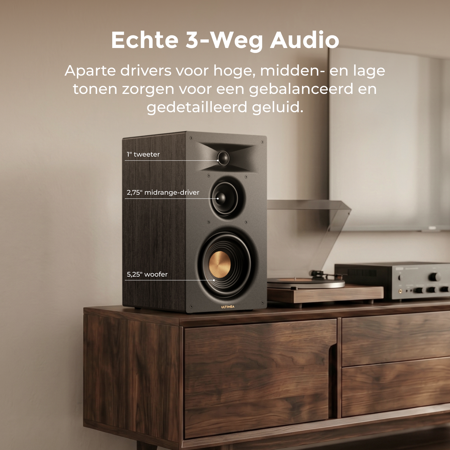 Enceinte noire 3 voies sur meuble en bois, avec une platine vinyle à côté.