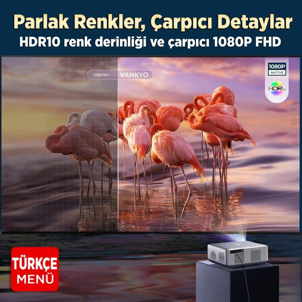 Projektör, HDR10 ve 1080P FHD ekranda flamingoları gösteriyor.