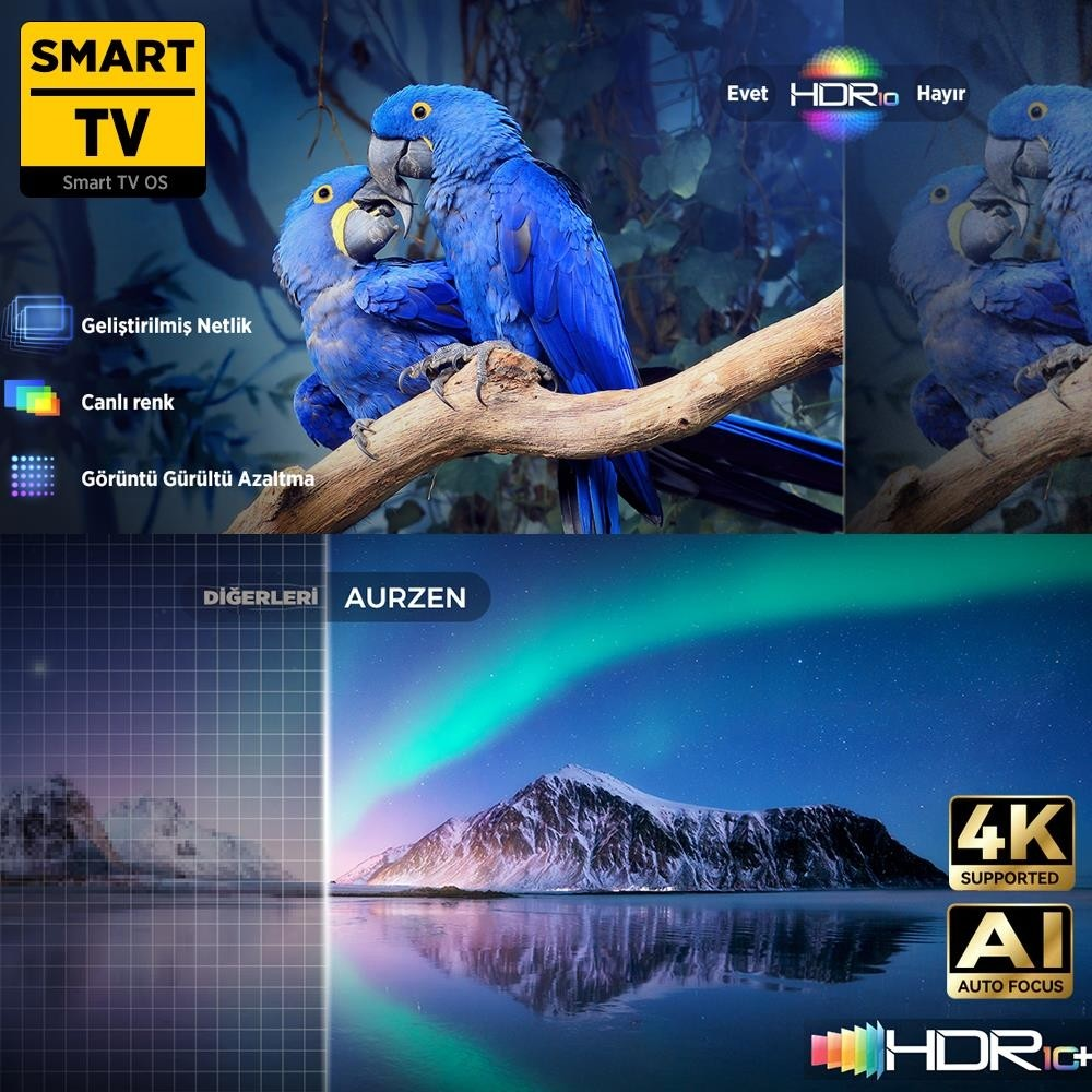 Papağanlar ve aurora ile Smart TV reklamı, 4K, Yapay Zeka, HDR.