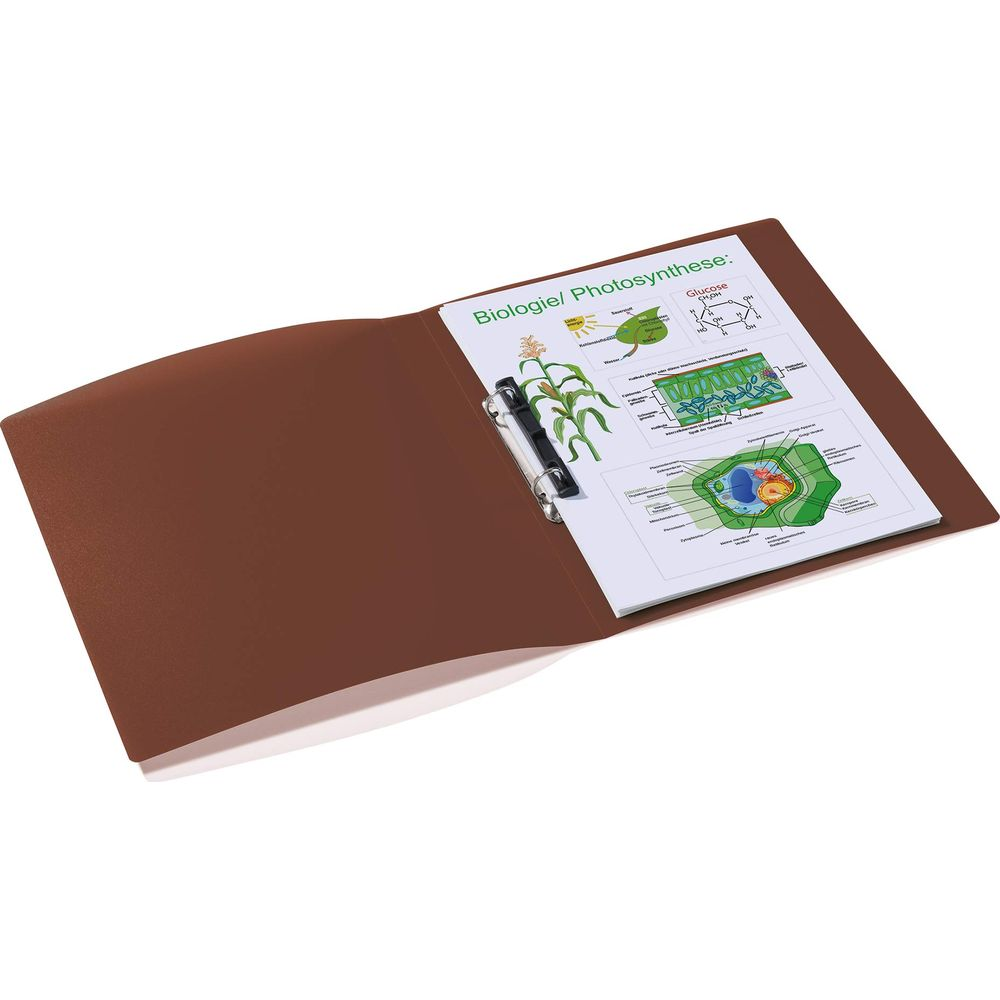 Ein brauner Aktenordner mit einem Blatt Papier, das Biologie/Photosynthese zeigt.