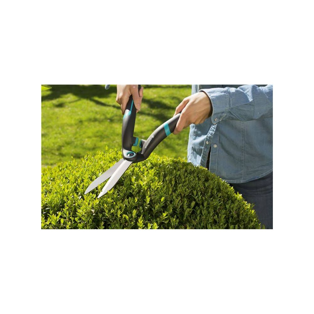 Person trimmt Busch mit Gartenschere, Rasen im Hintergrund.