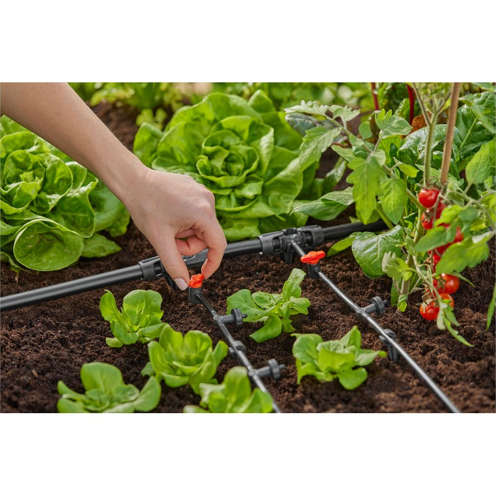 Eine Hand stellt ein Bewässerungssystem für Salat- und Tomatenpflanzen ein.