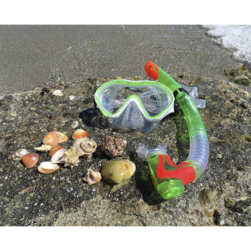Eine grüne Schnorchelmaske und ein Schnorchel liegen auf einem Felsen am Strand, umgeben von Muscheln.