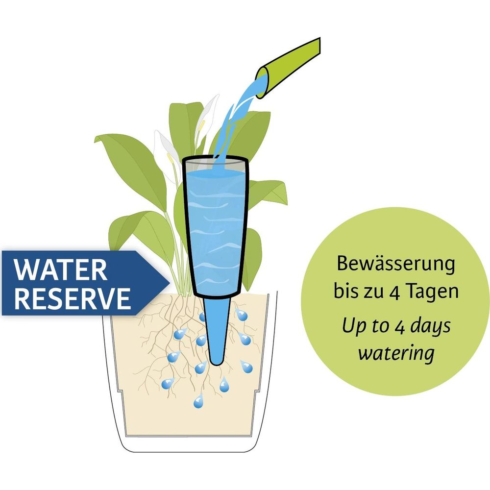 Pflanze in einem Topf, der mit einem Wasserspeicher Bewässerungssystem ausgestattet ist.
