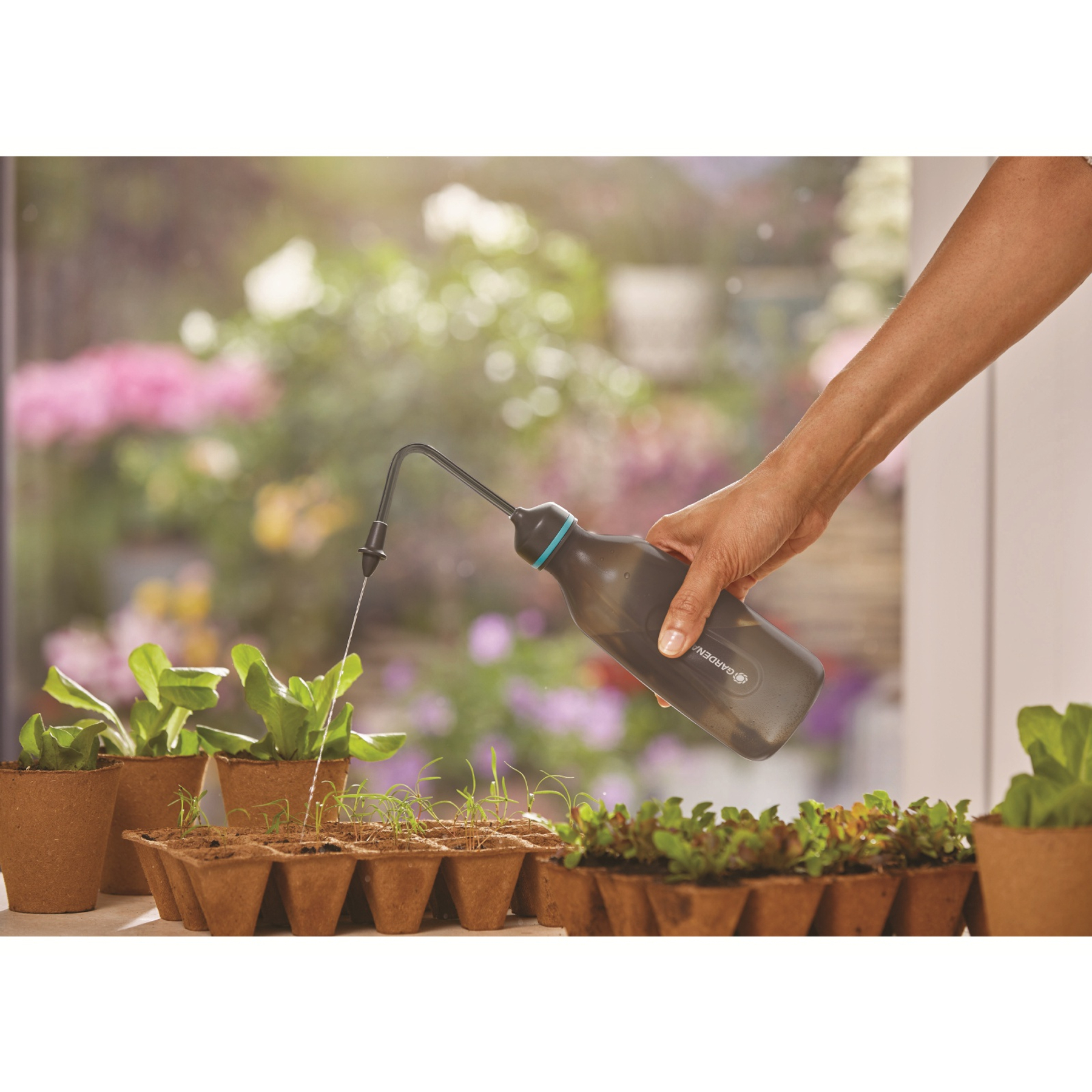 Eine Hand gießt Setzlinge mit einer Sprühflasche in einem Garten.
