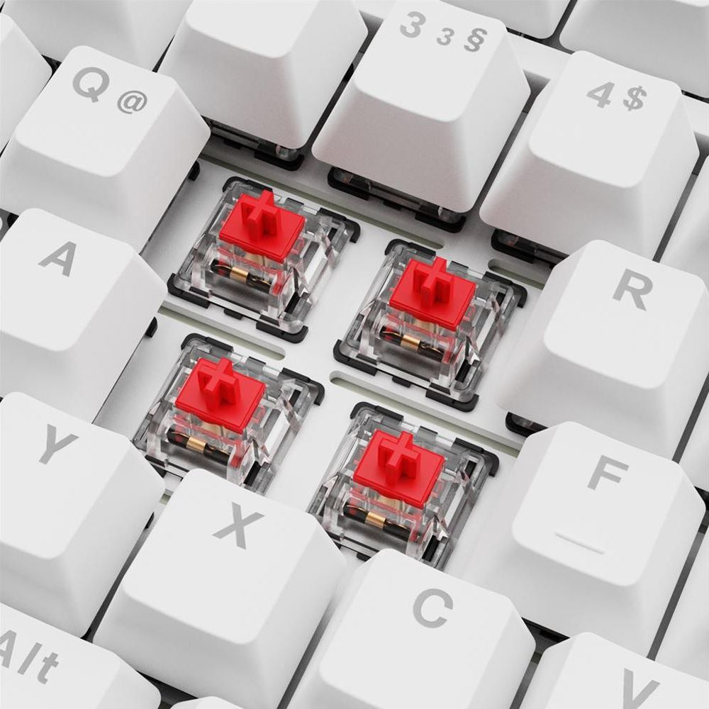 Nahaufnahme von weißen Tastenkappen und roten mechanischen Tastenschaltern auf einer Tastatur.