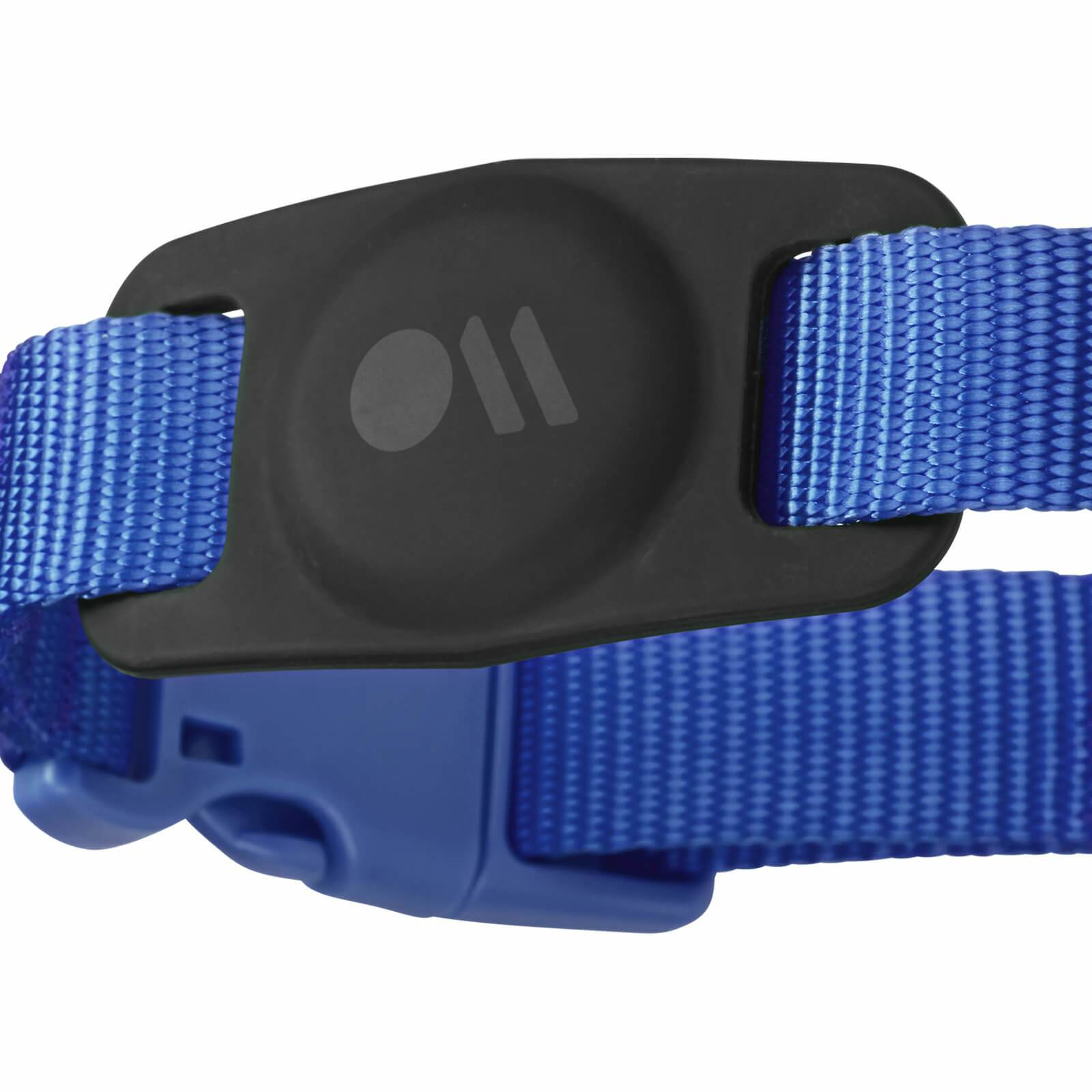 Blaues Hundehalsband mit schwarzem Anhänger und Schnalle.
