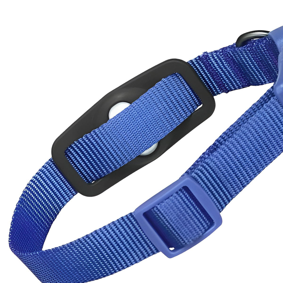 Blaues Gurtband mit schwarzem Verstellteil und Schnalle auf weißem Hintergrund.