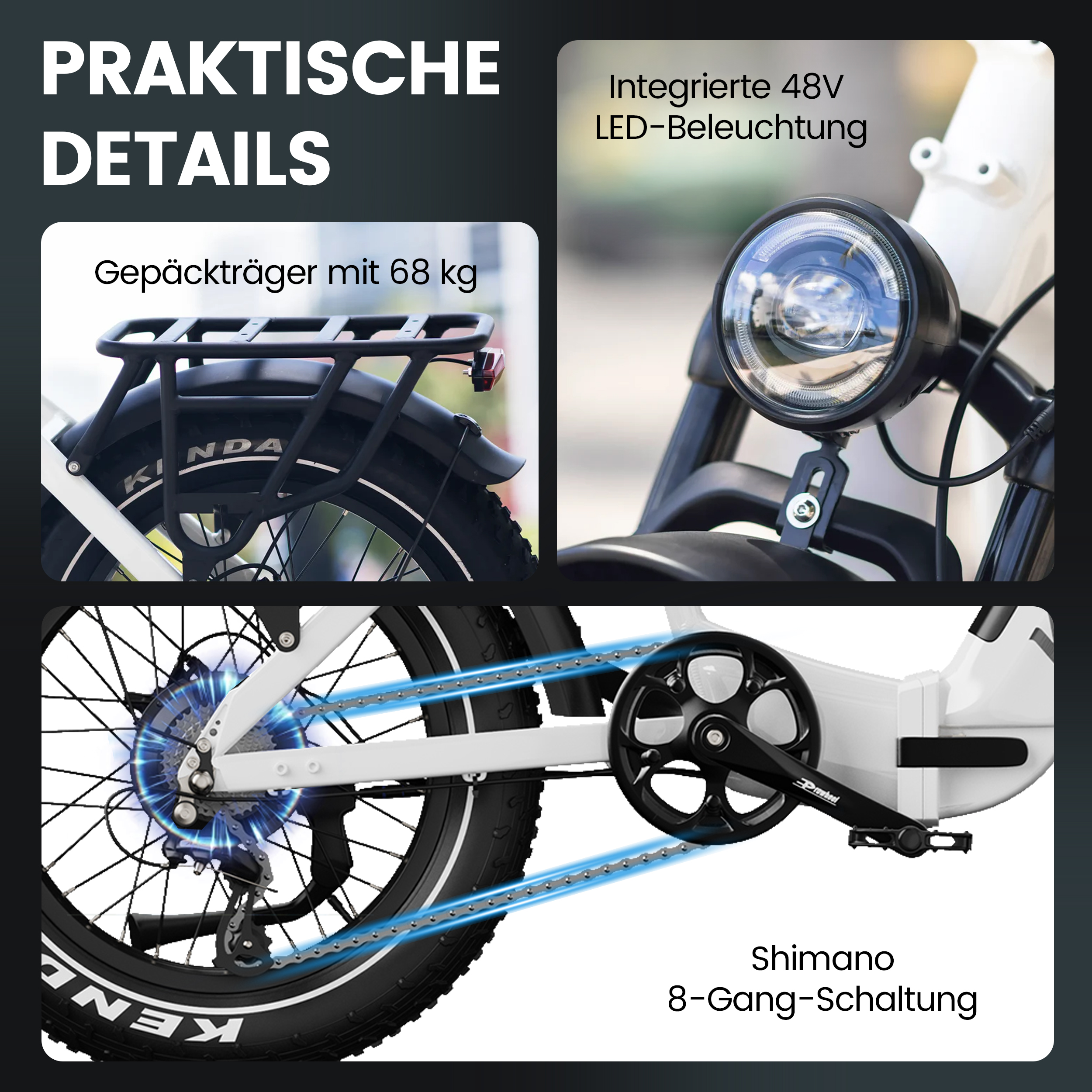 E-Bike Details: Gepäckträger, LED-Licht, Shimano 8-Gang-Schaltung.