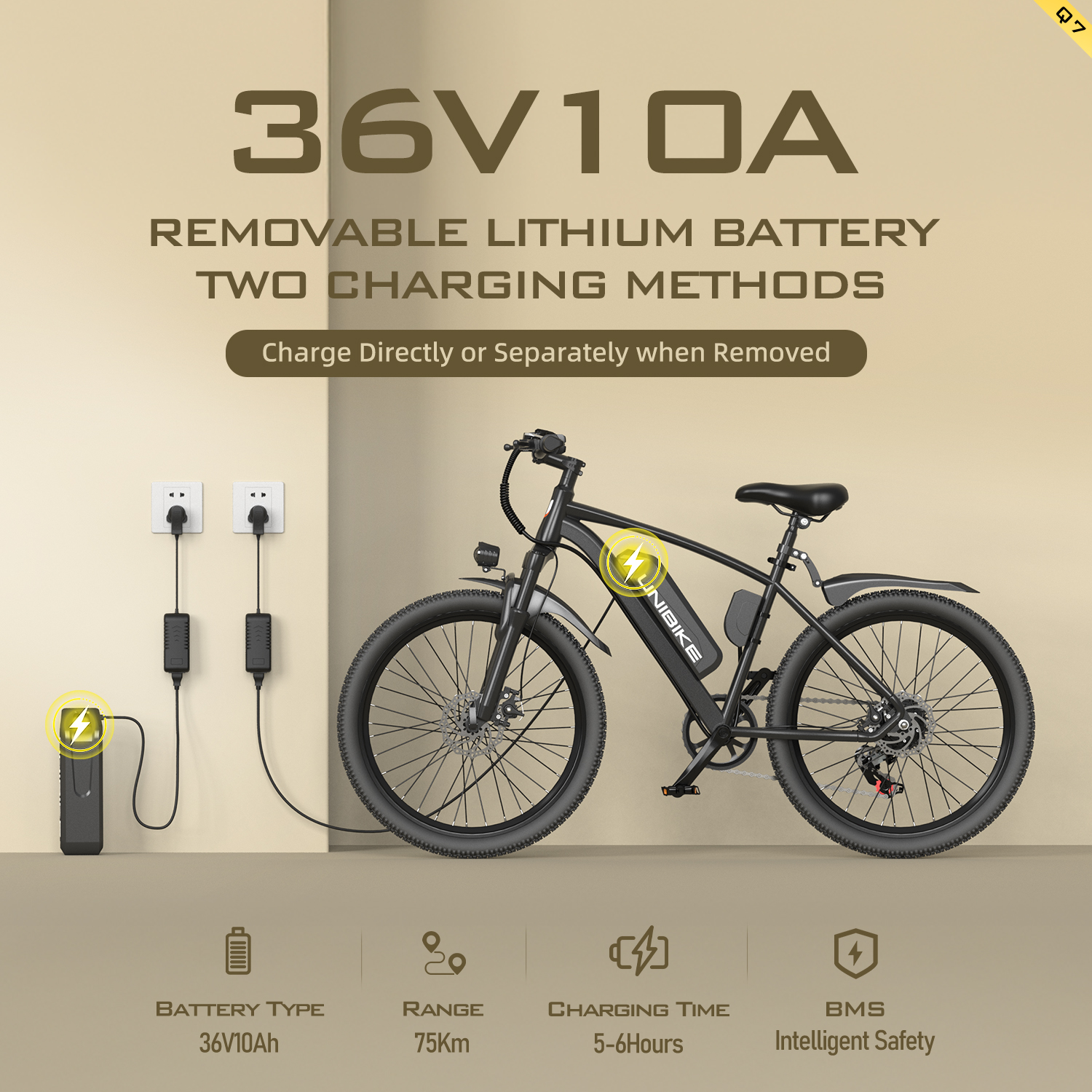 Viene mostrata una e-bike nera con batteria rimovibile da 36V 10A.