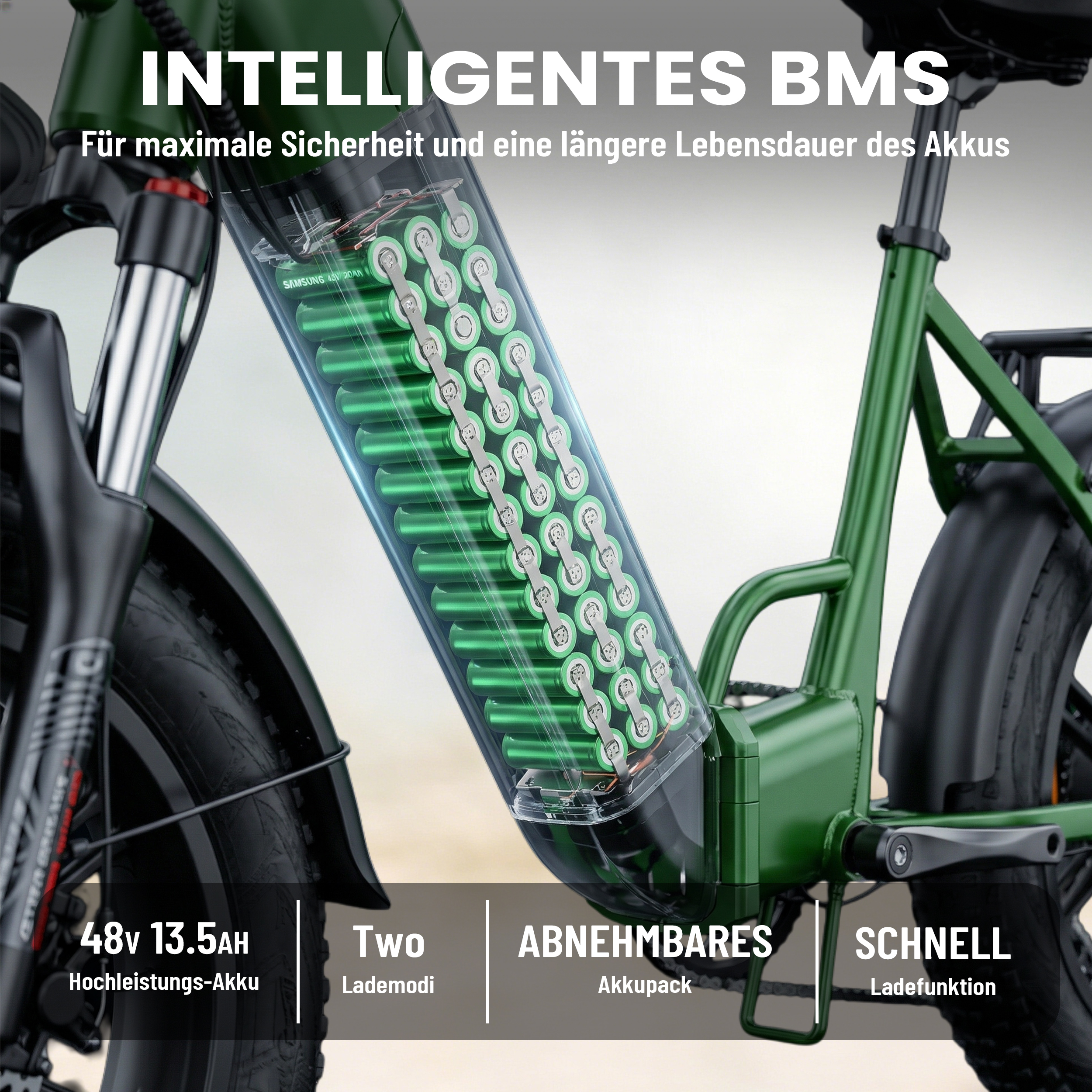 Grünes E-Bike mit sichtbarem Akku und Textinfos. Intelligentes BMS.