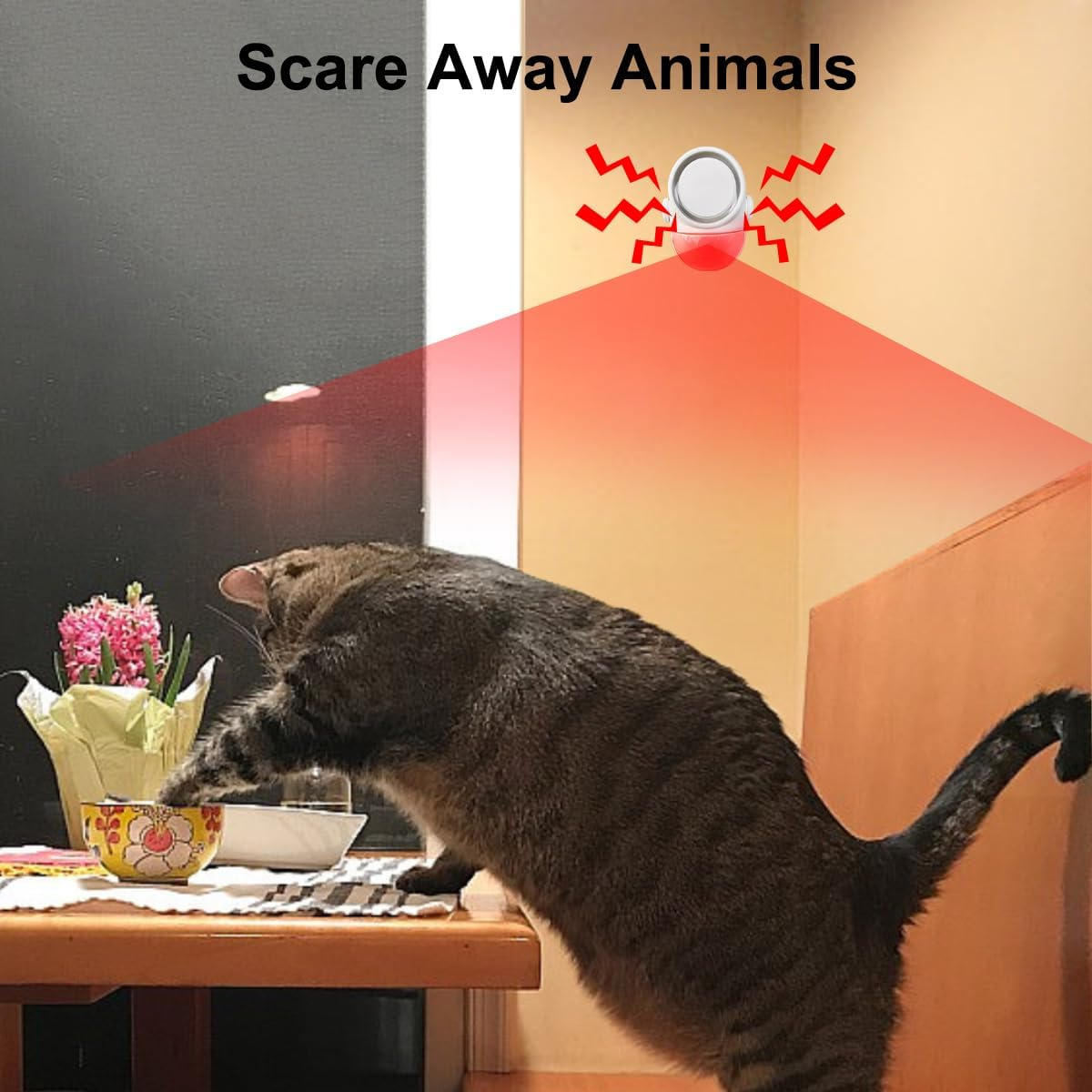 Eine Katze auf einem Tisch, die rote Lichtstrahlen von einem Gerät empfängt.