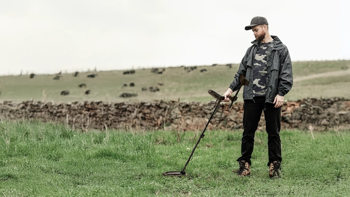 Ein Mann mit Metalldetektor in einem Feld mit Schafen und Steinmauern.