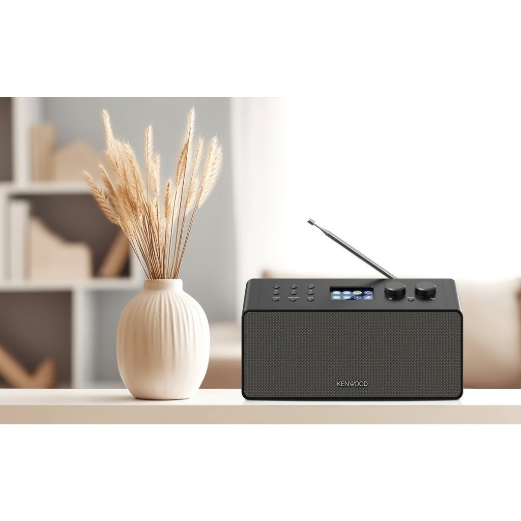 Ein schwarzes Kenwood Radio steht auf einem Tisch neben einer Vase mit getrockneten Gräsern.