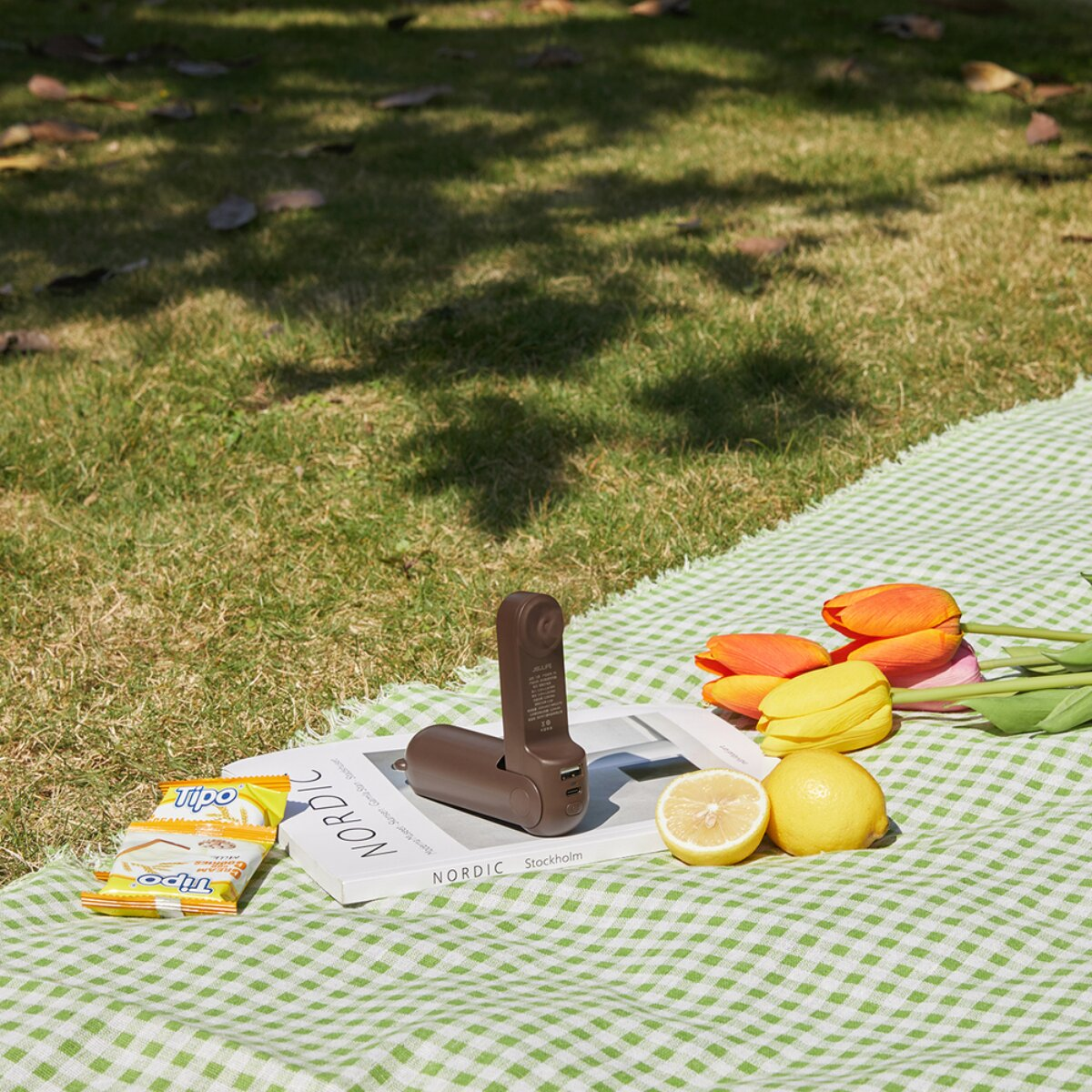 Ein brauner Ventilator liegt auf einem Buch mit Zitronen und Tulpen auf einer Picknickdecke.