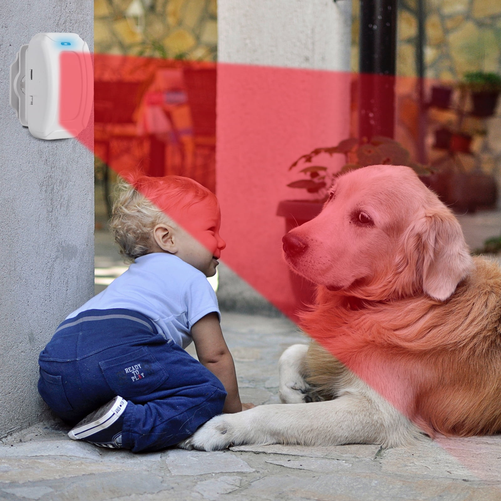 Ein Baby und ein Hund blicken sich an, ein Bewegungsmelder ist aktiv.