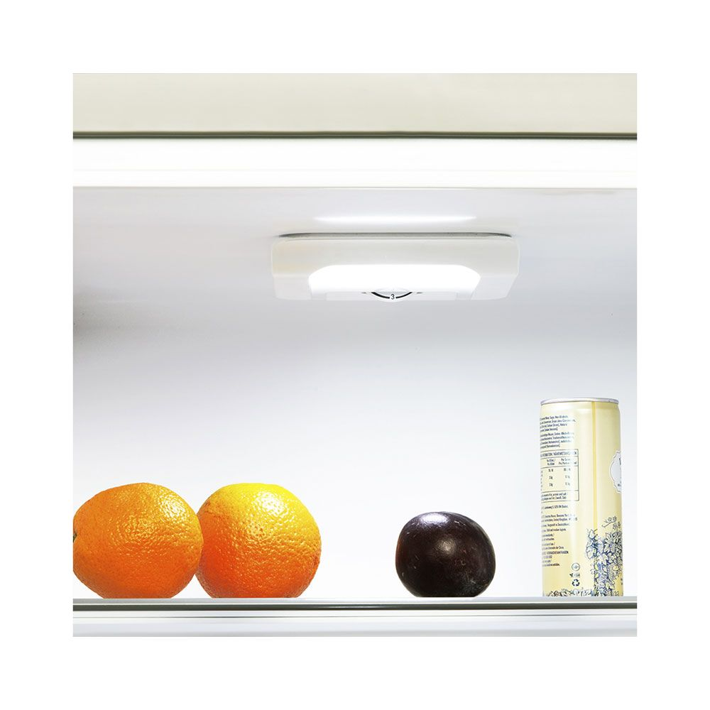 Zwei Orangen und eine Pflaume auf einem Kühlschrankregal neben einer Dose.