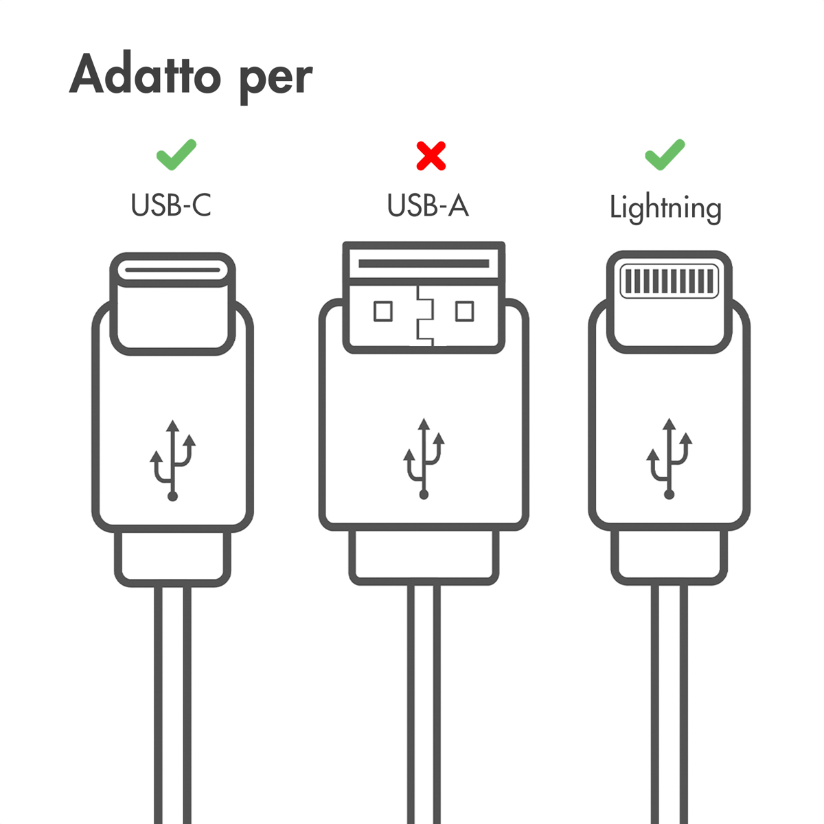 Illustratie van USB-C (groen vinkje), USB-A (rood kruis) en Lightning (groen vinkje).