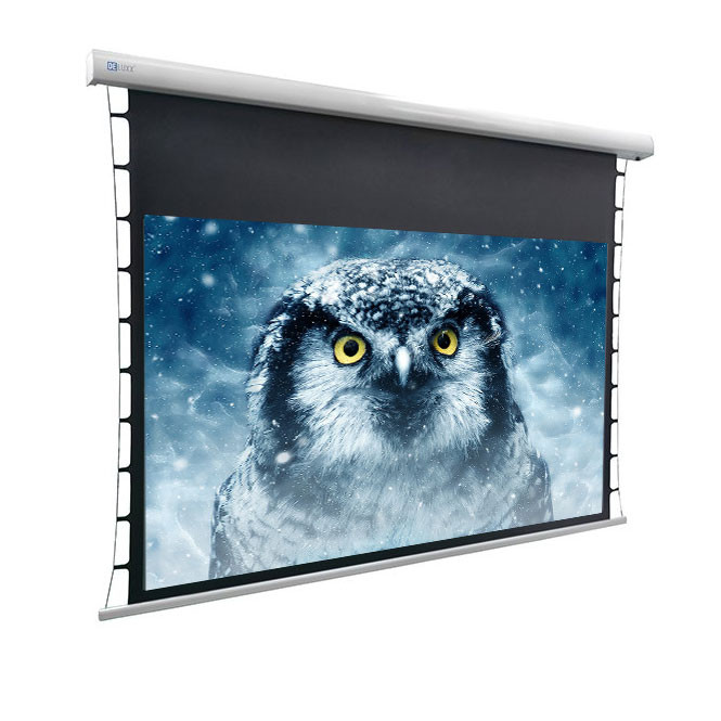 Leinwand mit Eulenbild, das im Schnee fliegt. Weiße und blaue Farben.