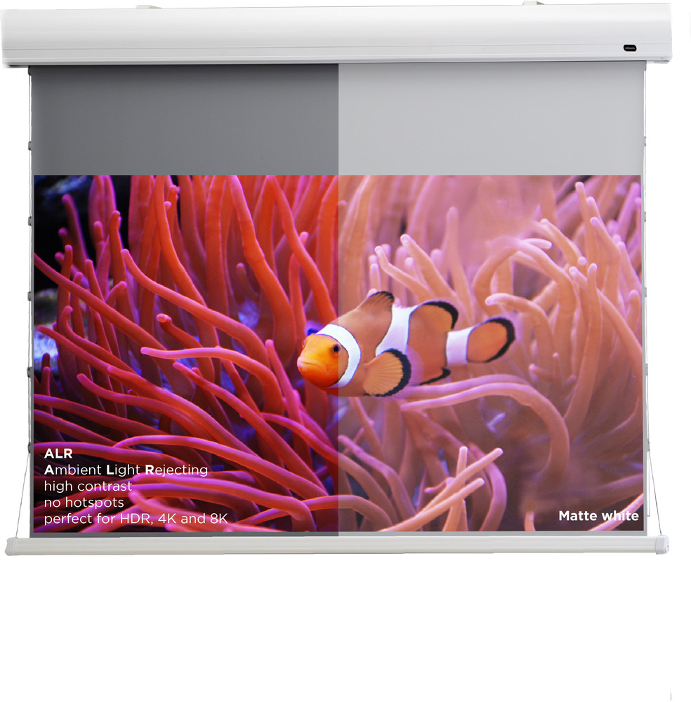 Projektionsleinwand mit Clownfisch vor Korallen. ALR & Matte White.