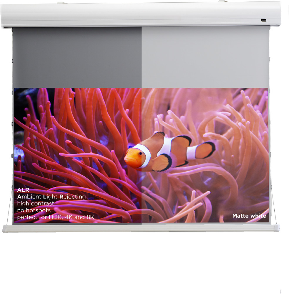 Leinwand zeigt Clownfisch in Anemonen. Text: ALR, Mattweiß.