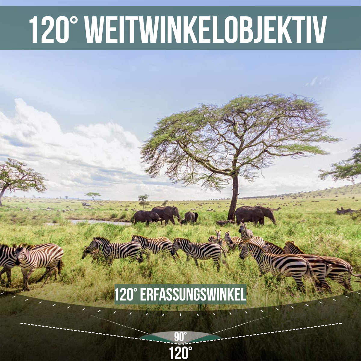 Zebra's en olifanten in de Afrikaanse savanne onder een grote boom.