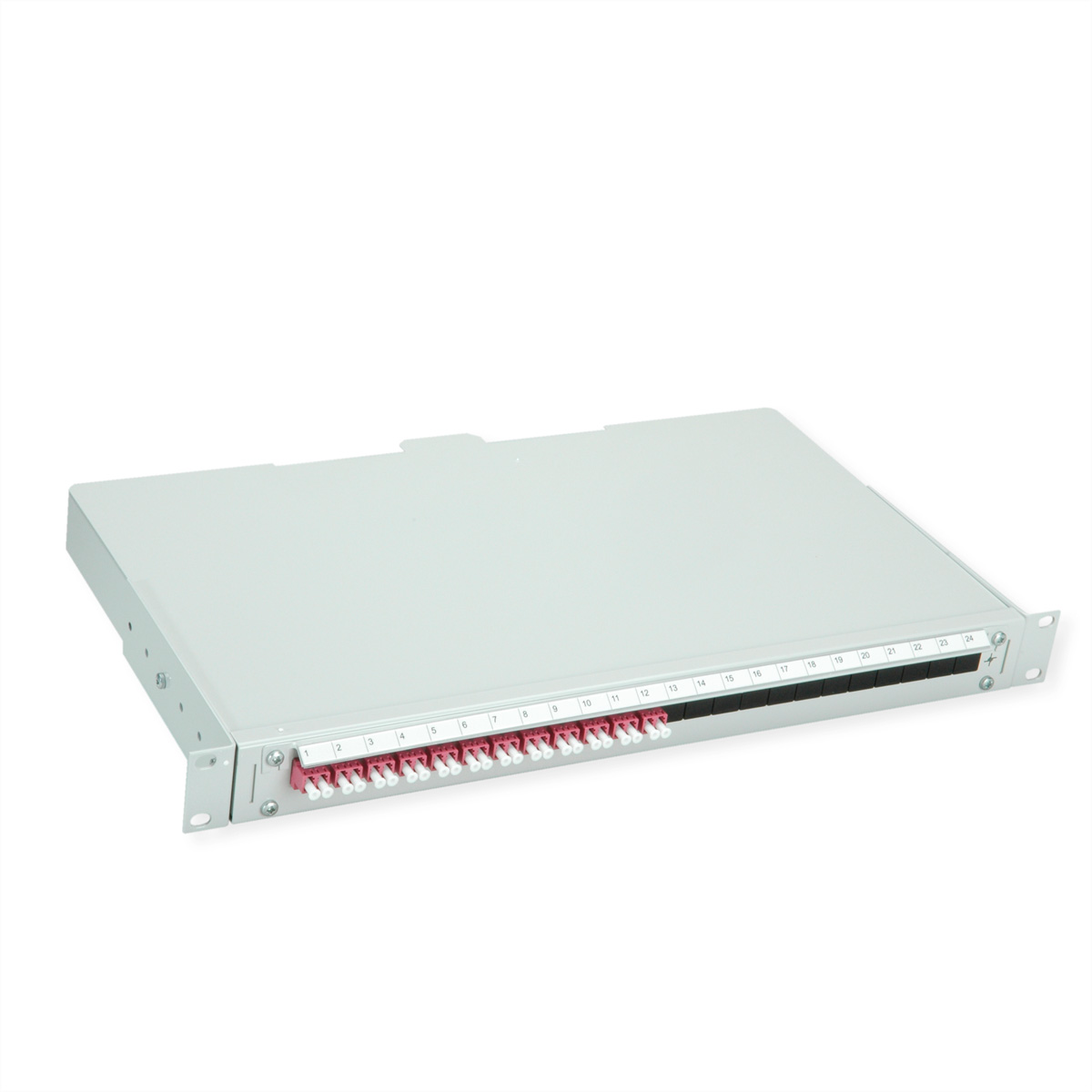 Ein graues 24-Port-Patchpanel mit roten und weißen Steckern, nummeriert von 1 bis 24.