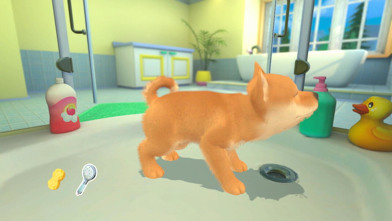 Un piccolo cane arancione è in una vasca da bagno accanto a un anatra giocattolo e shampoo.