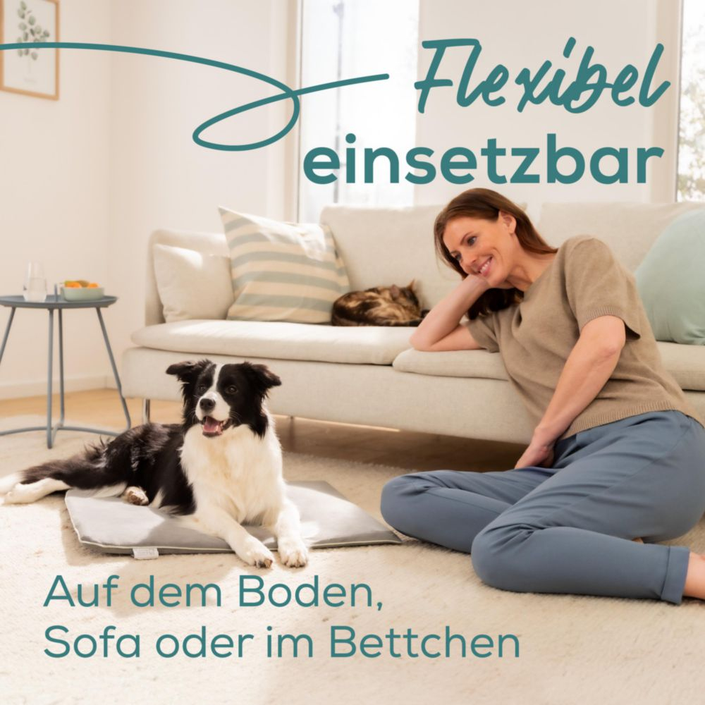 Eine Frau sitzt neben einem Border Collie und einer Katze auf dem Sofa am Boden.