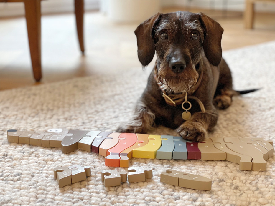 Un dachshund yace sobre una alfombra junto a un rompecabezas de madera con forma de perro.