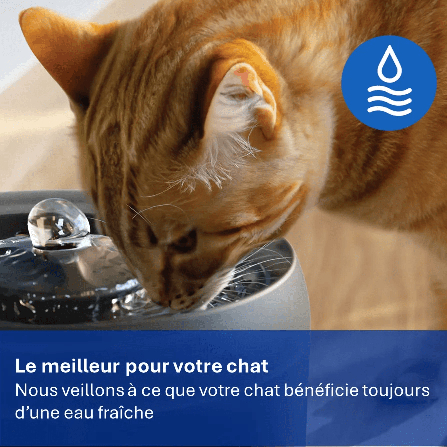 Een oranje kat drinkt uit een waterfontein. Blauw watericoon.