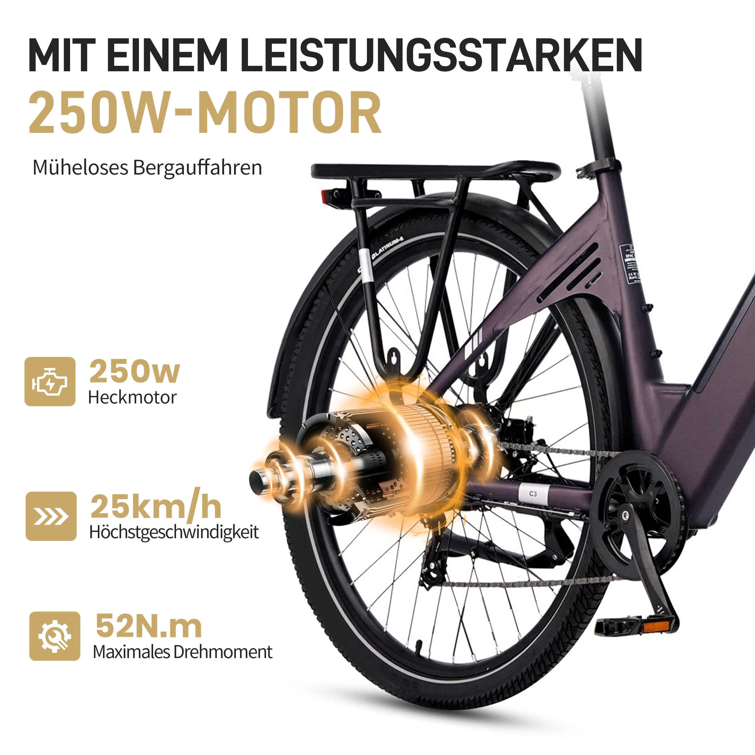 E-Bike mit 250W Heckmotor, 25 km/h, 52 Nm Drehmoment. Fokus auf Leistung.