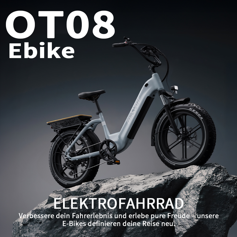 Ein hellgraues OT08 E-Bike steht auf Felsen. Es hat dicke Reifen und einen Gepäckträger.