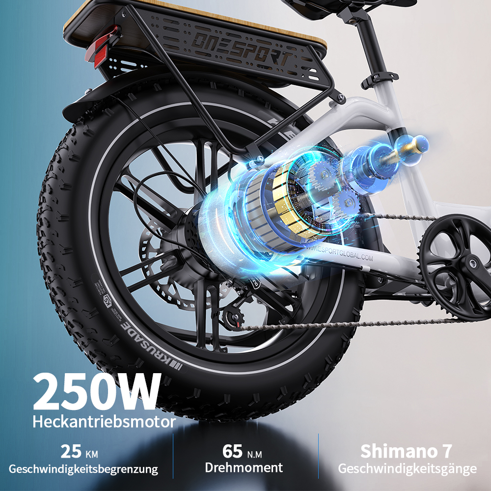Detailansicht eines E-Bikes mit Fokus auf den 250W Heckmotor und Getriebe.