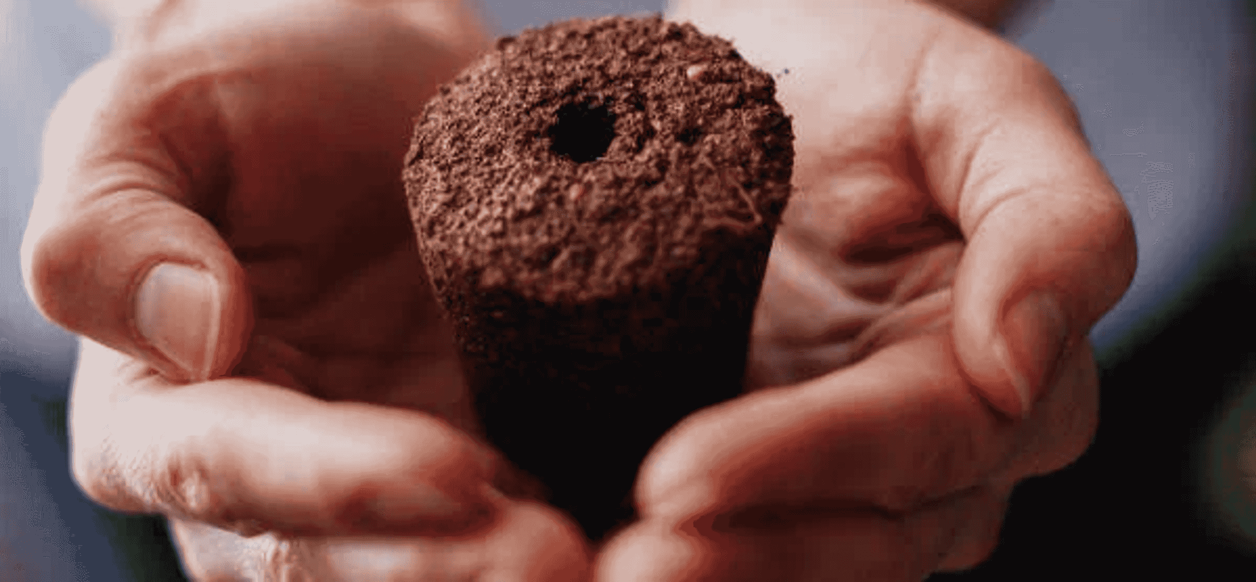 Manos sostienen una pastilla de turba con un agujero en el centro.