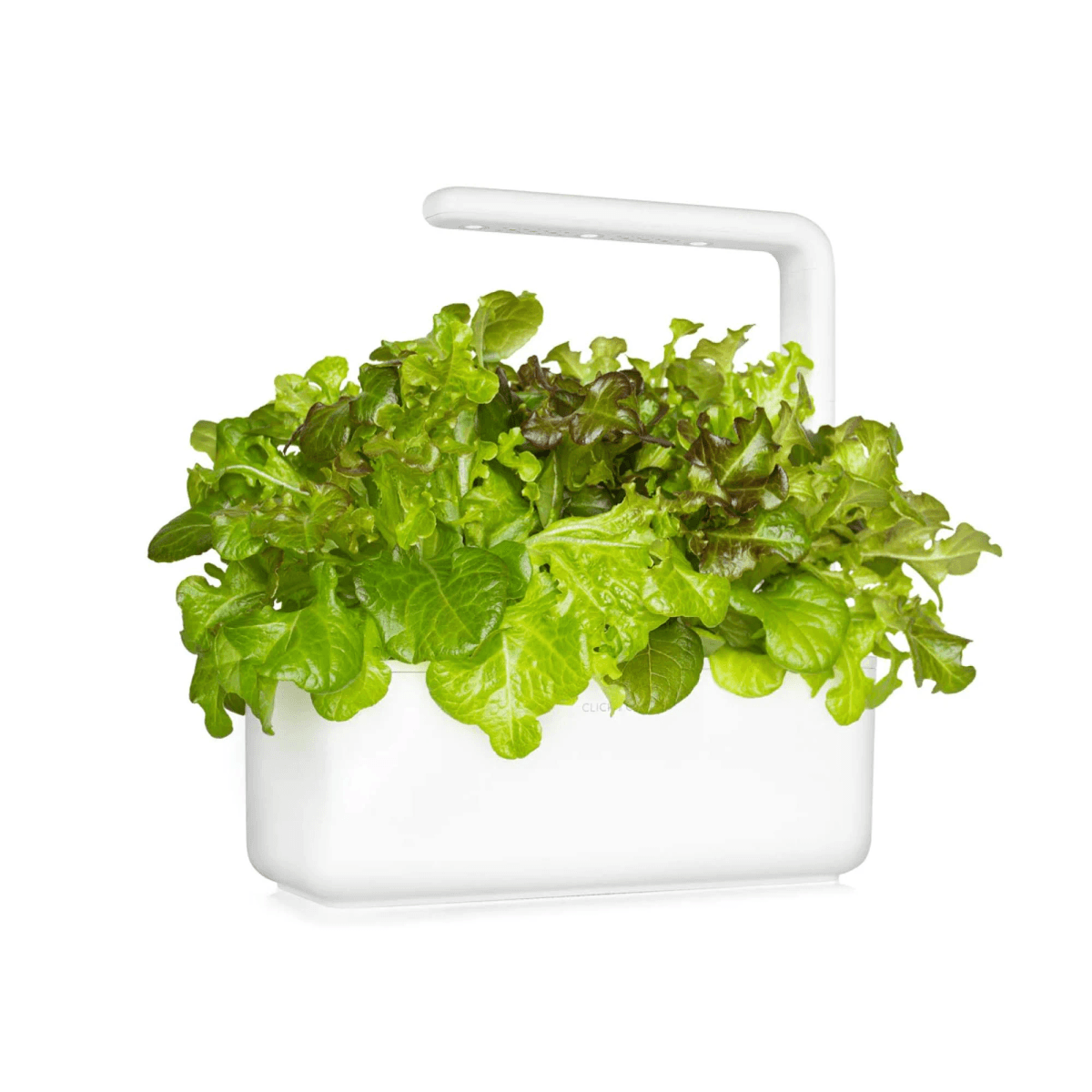 Un recipiente blanco con lechuga fresca y una luz LED de crecimiento.