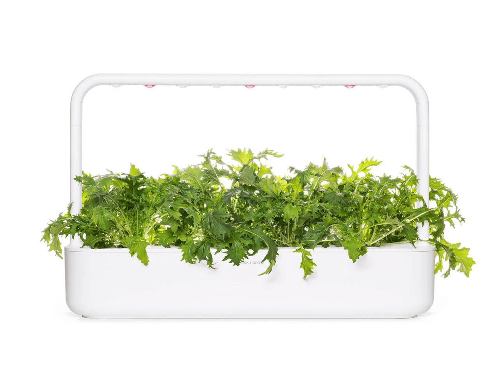 Un jardín interior blanco con exuberantes plantas de hojas verdes bajo una luz de cultivo LED blanca.