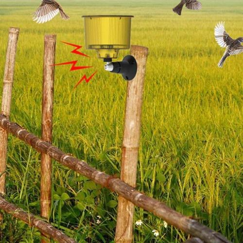 Kırmızı zikzak çizgili sarı bir kuş kovucu, kuşların uçtuğu yeşil bir tarladaki ahşap çit direğine monte edilmiş.