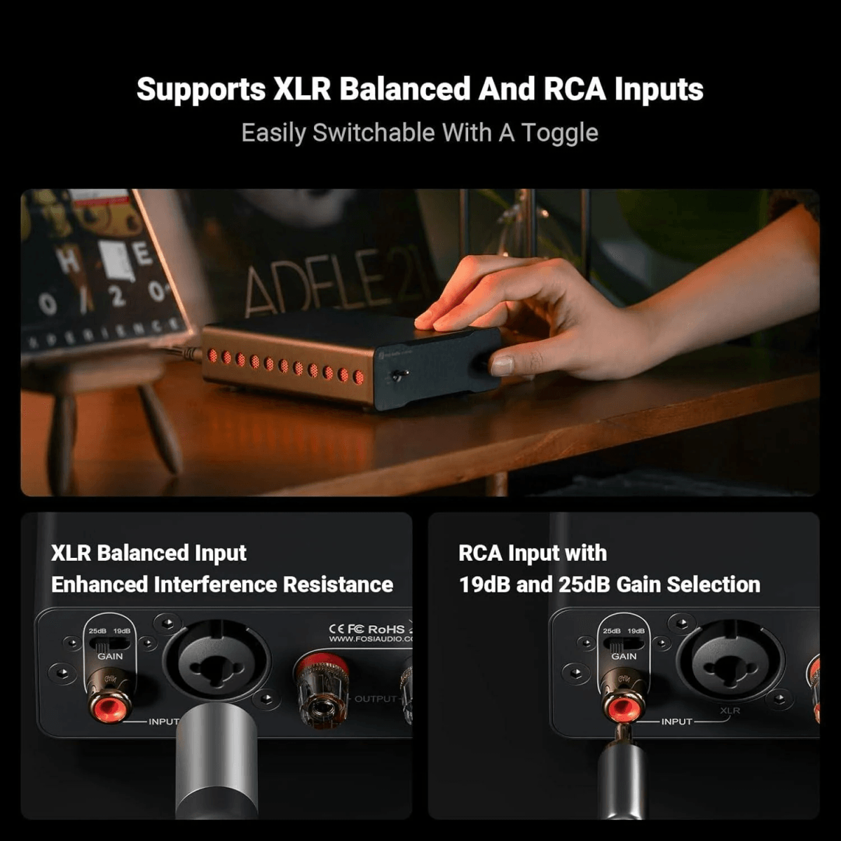 Gerät mit XLR- und Cinch-Eingängen, umschaltbar. XLR- und Cinch-Anschlüsse detailliert.
